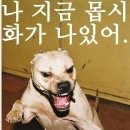 매일 불안 아파트 주민들 걱정, 층간 소음 복수 jpg 이미지