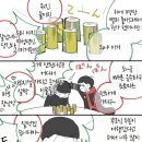 마츠 티스토리