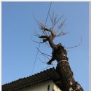 노현2리 이미지