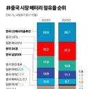 중국 배터리업체 난립…국내기업에 불똥 튀나 이미지