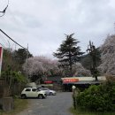 옻나무가든 | 창원맛집]마산 5분거리 계곡에서 벚꽃보면서 백숙먹는 무릉도원 체험기 : 서원곡 약수장 가든 방문후기