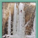 사니조아 이미지