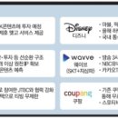[경제신문스크랩] 여러분들은 어떤 콘텐츠 플랫폼을사용하시나요?(OTT시장)