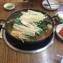 제주동쪽여행3,4[이인자뼈다귀해장국,다가미김밥,길용당,애월더선셋,망고레이,짬뽕에취한날]