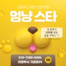 멍냥스타 강아지분양 고양이분양 이미지