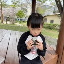 형제안과 이미지