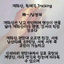 개화산, 둘레길 Tracking 이미지
