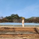 신씽놀이터 이미지