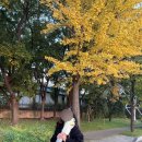 다나(DANA)성서계명대점 | 베이크리소또 추천 다나(Dana) 성서 계대 데이트 맛집