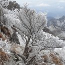 열심 다해서--------산중 라면맛 이미지