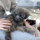 커멍커멍 이미지