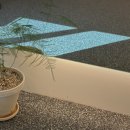 엑설라이프 | 노은동 엑설라이프 2:1 PT 후기 (feat. 이제는 더이상 물러날 곳이 없다)