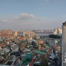 거대공인중개사사무소 이미지