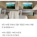 제주에선쪼끌락