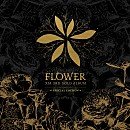소소flower
