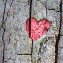 LG 서비스센터(유성) 이미지