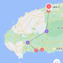 롯데마트뒤사거리 고정식CCTV | 제주) 눈 오는 날 제주 필수 코스 &#34;1100고지&#34;_사진, 정보 Tip / 3박4일 제주여행 코스