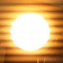 삼성기공사 이미지