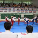 국제태권도 이미지