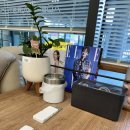 시도 고산로 이미지