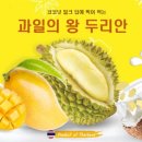두리안