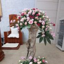 성전농장 이미지