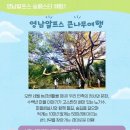 숲과나무협동조합 네이버블로그