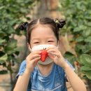 봄이네 농장 이미지