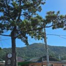 장산민박 이미지