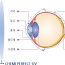 렌즈맨안경 이미지