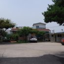 대머리장어 이미지