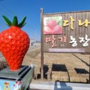 신교농장 네이버블로그