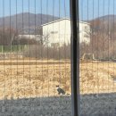 노노맨션 이미지