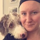 나는댕댕이다 이미지