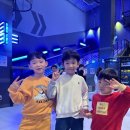 용인대 스타 태권도장 이미지