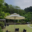 비다펠리스 이미지