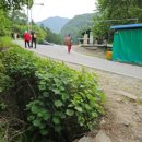 완주 편백숲 관광안내소 이미지