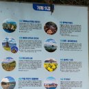 거가대교 관광안내소 네이버블로그
