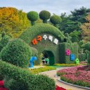 23만 평 규모인데 무료라고요?&#34; 가을이면 단풍에 국화까지 함께 피는 힐링 명소 이미지