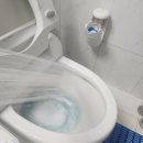 플레노 | 욕실 화장실 청소 필수템 플레노 변기클리너 솔직 사용후기