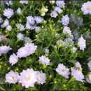 성북-장위-4090 이미지