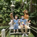 래미안유치원 이미지