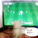 꽁이 - 중구 목중로 37 | 꽁이