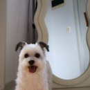 행궁버들하우스