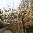 평촌공원 이미지