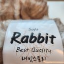 래빗스토리