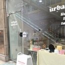 양키캔들일산웨스턴돔점 | 일산 소품샵 어반모티브 웨스턴돔 신상 소품샵 다녀온 후기