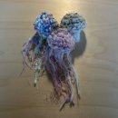 11650-16-157-23 | 12월의 Daily (2) :: 존박 콘서트 후기 &amp; 연말 잘 보내기