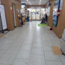 내서도서관 | 답십리도서관에서의 혼자만의 힐링타임(운영시간, 주차비용)