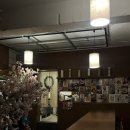 제주칠성로상점가(칠성로상점가) | 제주 혼술바 [자작] 탑동점 대화하기 좋은 여유로운 곳 추천